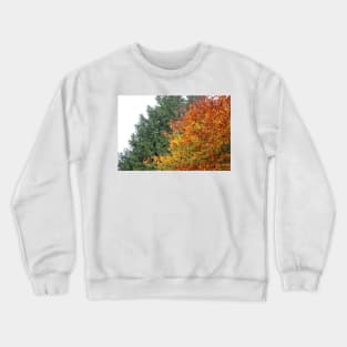 Coloured Leaves in Autumn Crewneck Sweatshirt